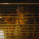 walking dead cast looking out the window